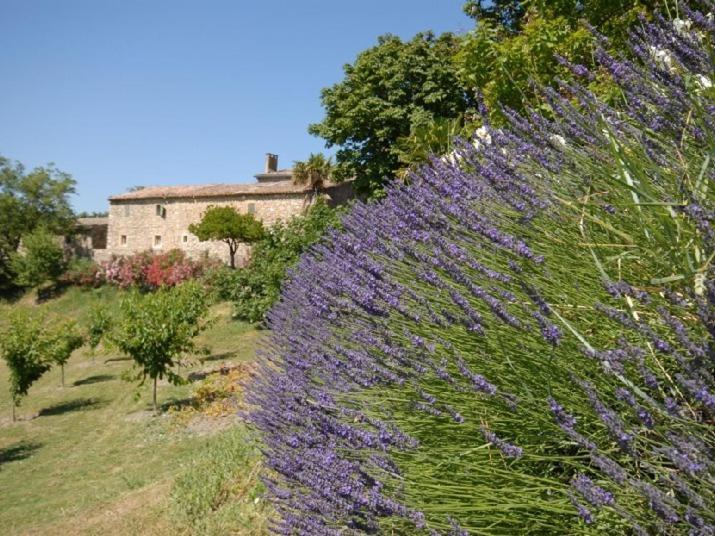 Domaine De Cousignac Bed & Breakfast Bourg-Saint-Andeol Exterior photo